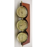 Weerstation mahonie Fischer